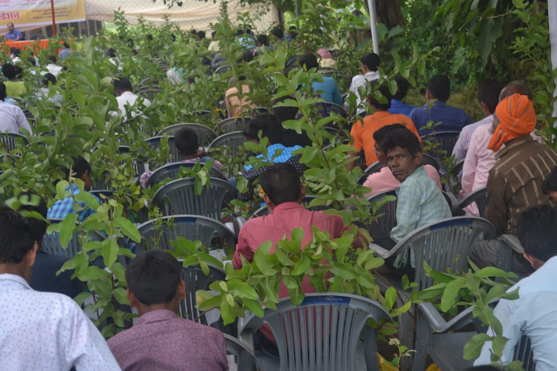 Villagers holding fruit sapling packets during a distribution camp